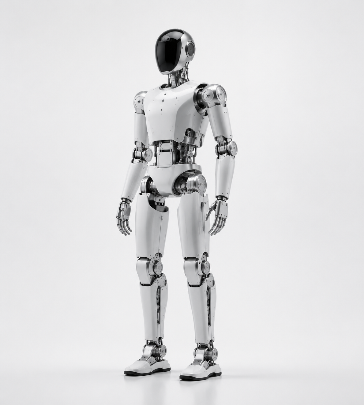 Humanoid Robot